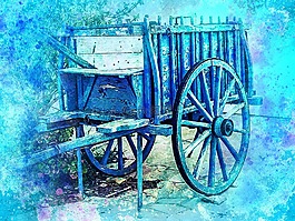 車皮,老,鮮花