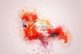 火烈鳥(niǎo),多彩,藝術(shù)