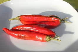 辣椒,紅辣椒,紅