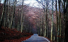 montseny,巴塞羅那,路