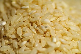 水稻,食品,吃