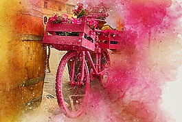 自行车,鲜花,艺术