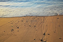 海灘,沙,海