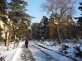 公園,冬天,雪