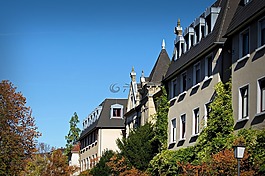 海得爾堡,的weststadt,落葉喬木
