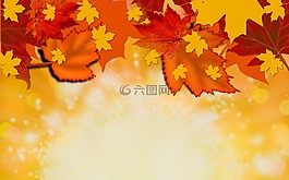 秋,秋天,背景