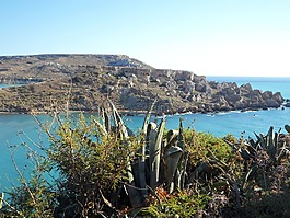 展望,海,海岸