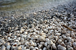 海舌公園,云南,螺