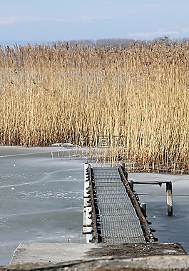 区域的湖 murten,水,湖