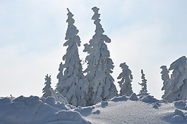 冬季,山,雪