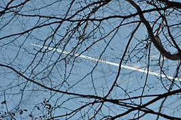 天空,這架飛機,飛行