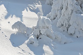雪,山,冬季