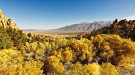 全景圖,山,上衣
