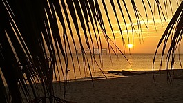 日落的時候,海灘,景觀