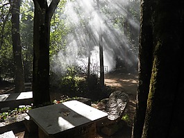 木材,寧靜,陽光
