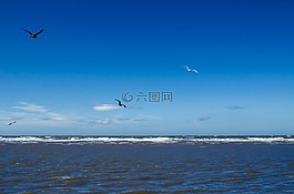海,水,海洋