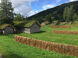 挪威,sunnfjord,景觀