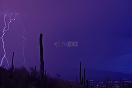 閃電,沙漠,景觀