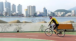循環(huán),自行車,騎自行車
