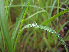 性質(zhì),宏,一滴水