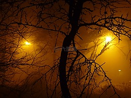 雾,夜,光