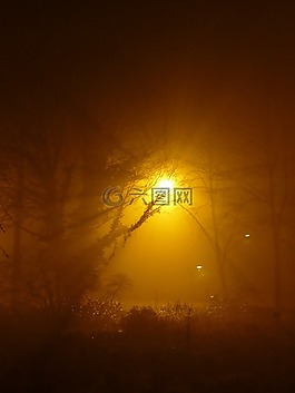 雾,夜,光