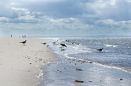 海,水,海洋