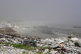 霧,海灘,自然