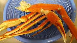 蟹,食品,海鮮