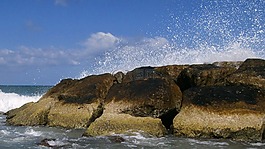 海,水,夏季