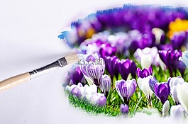 畫筆,花,鮮花