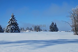 冬天,雪,白