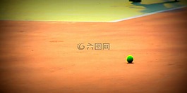 體育,網(wǎng)球,球