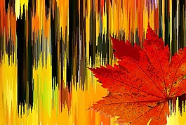 秋季,秋天的顏色,葉子