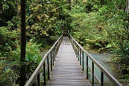 新加坡,橋,徒步旅行