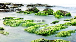 海,自然,搖滾