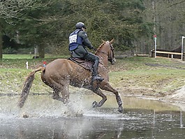 馬,車手,狐貍