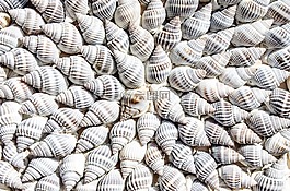 抽象,動物,水