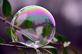 泡沫,肥皂泡沫,虹彩