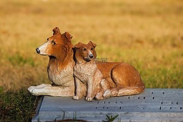 狗,doges,陶瓷