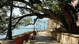 美麗,人行道,沿著海岸走