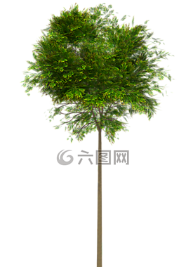 飛行,3d,png