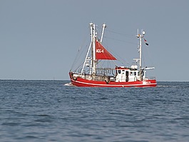 漁船,蝦,北海