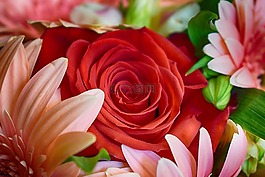 玫瑰,鮮花,花束