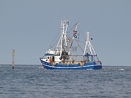 漁船,蝦,北海