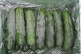 國家黃瓜,黃瓜,蔬菜