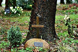 埋葬,坟场,丧