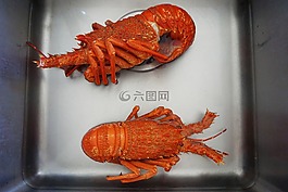 小龍蝦,煮熟的,水槽
