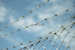 帶刺的鐵絲網,柵欄,himmel