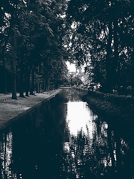 公園,通道,水